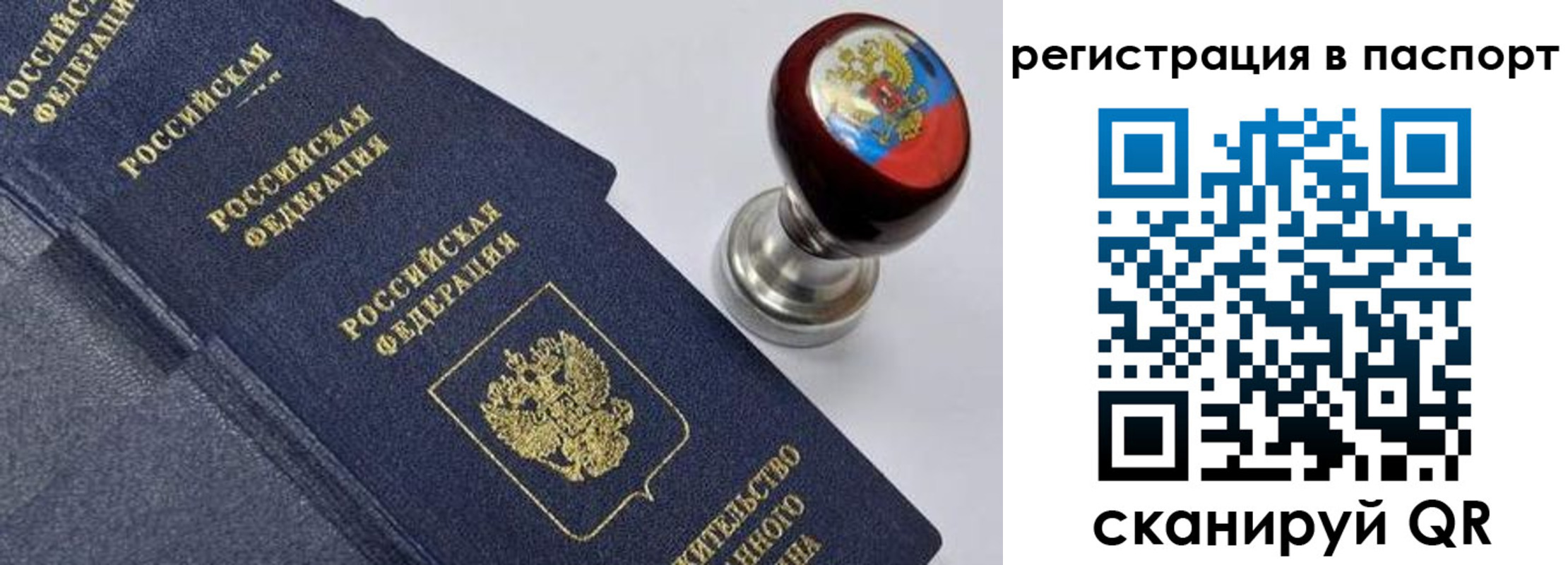 прописка поиск в Струнино